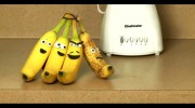 Banana Spl